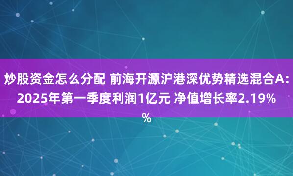 炒股资金怎么分配 前海开源沪港深优势精选混合A：2025年第一季度利润1亿元 净值增长率2.19%