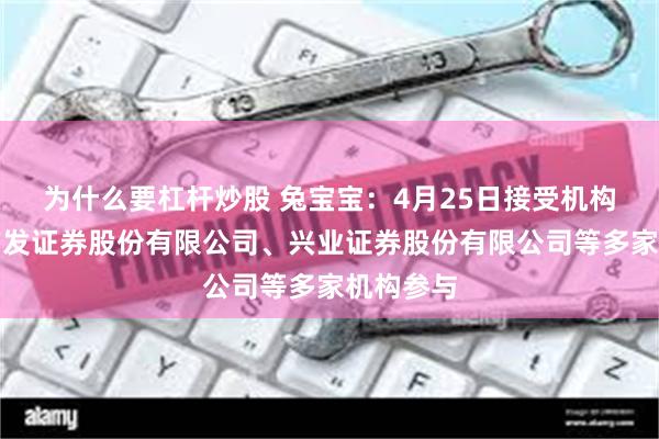 为什么要杠杆炒股 兔宝宝：4月25日接受机构调研，广发证券股份有限公司、兴业证券股份有限公司等多家机构参与